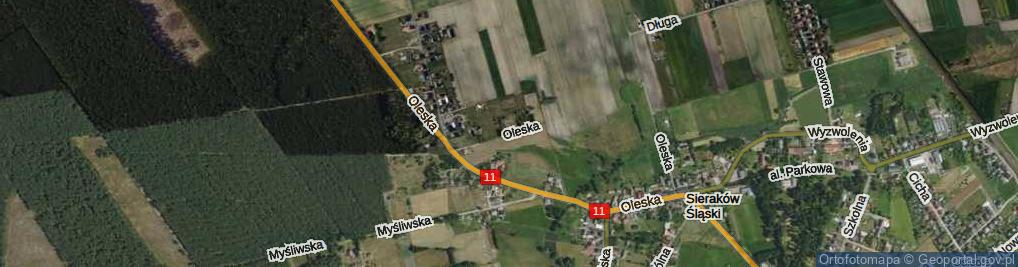 Zdjęcie satelitarne Oleska ul.